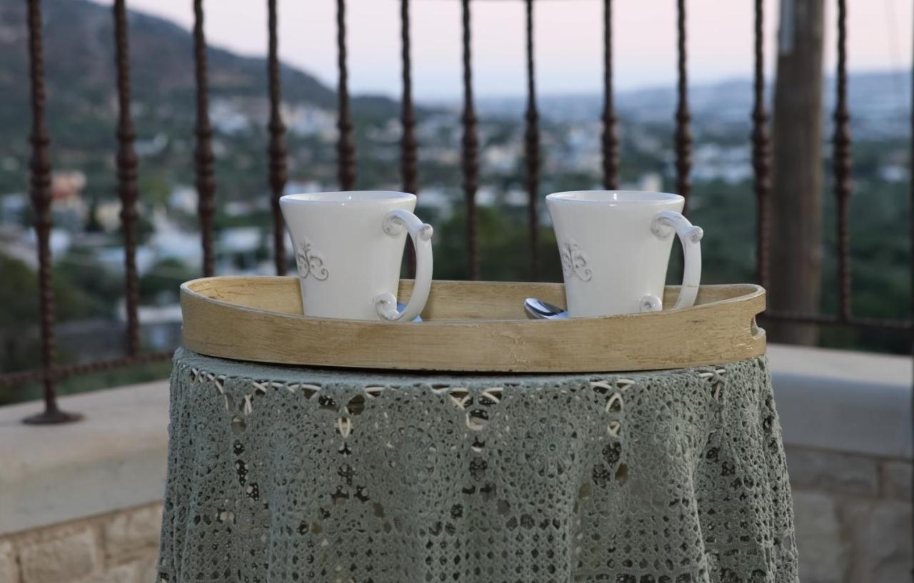 Villa Athina - Irene Country House 依拉佩特拉 外观 照片