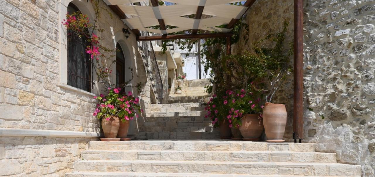 Villa Athina - Irene Country House 依拉佩特拉 外观 照片