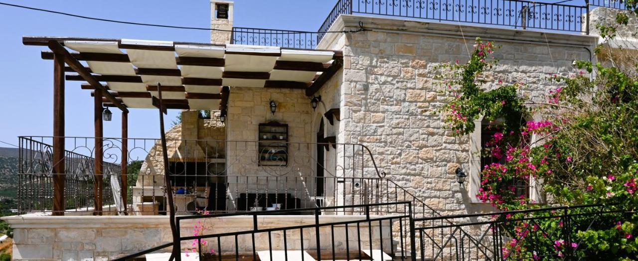 Villa Athina - Irene Country House 依拉佩特拉 外观 照片